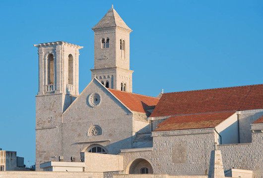 Giovinazzo的教堂。Apulia。