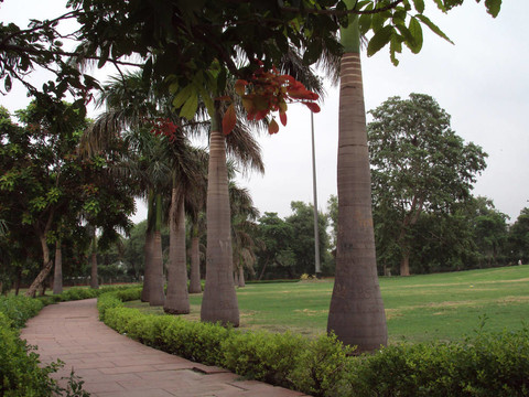 自然公園