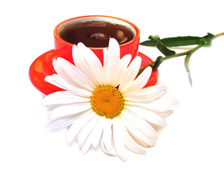橙杯茶和camomiles