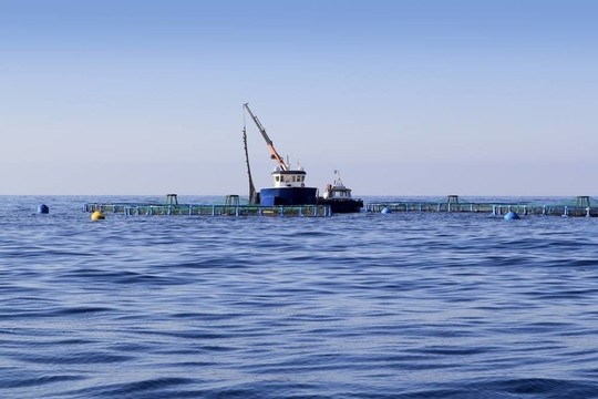 藍(lán)色海洋地平線上的養(yǎng)魚場