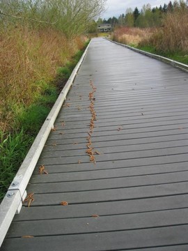 城郊綠地的木板路