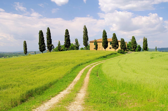 podere 15