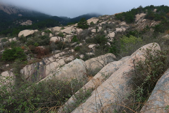 楊家堰
