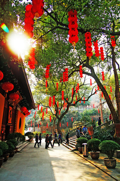 中式燈籠 法喜寺