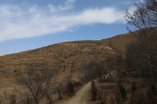 黃土高原