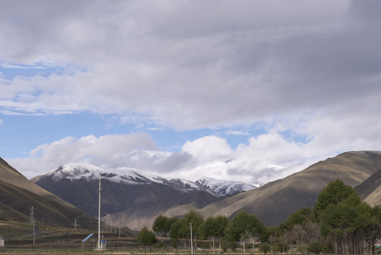 雪山 樹(shù)木