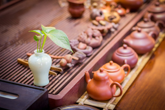 茶樓咖啡廳休閑場所