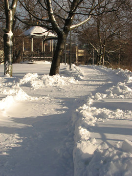 公園里的冬天
