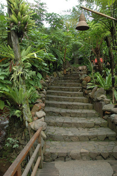熱帶花園