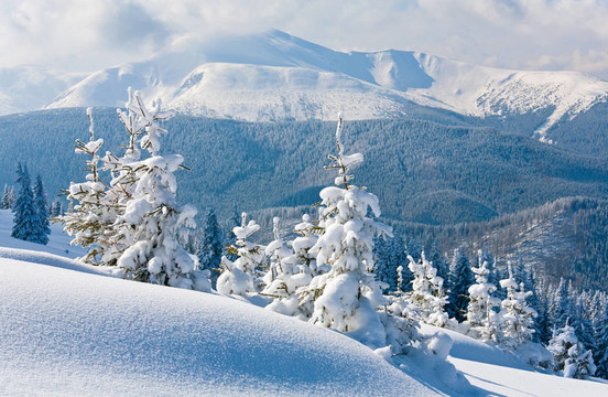 雪景