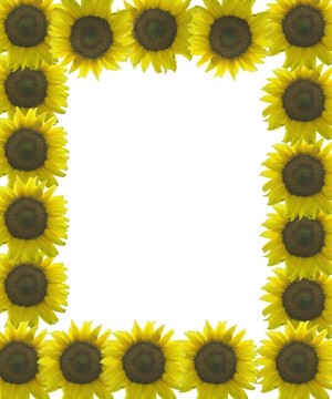 太陽花框