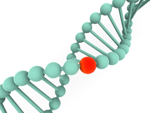 基因在DNA