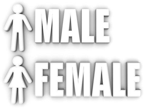 男女。標(biāo)志