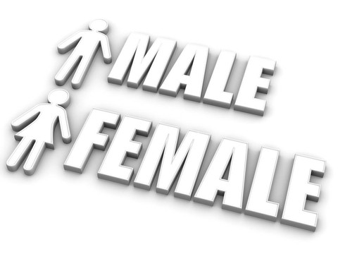 男女。標志