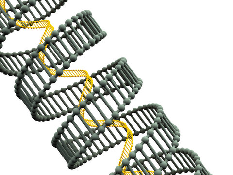 基因在DNA。