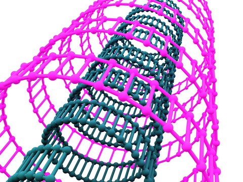 基因在DNA。