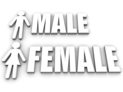 男女。標志