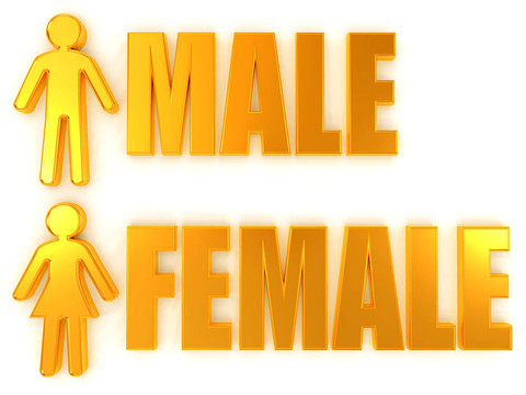 男女。標(biāo)志