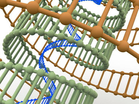 基因在DNA。
