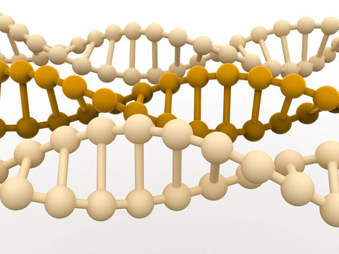 基因在DNA。