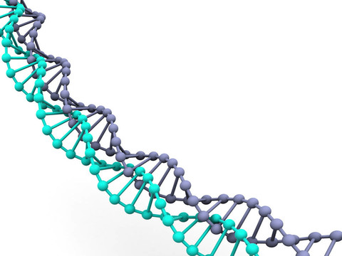 基因在DNA。