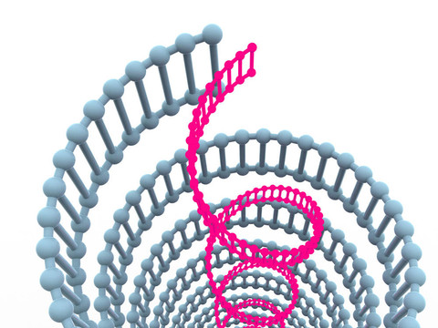 基因在DNA。