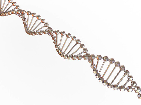 基因在DNA