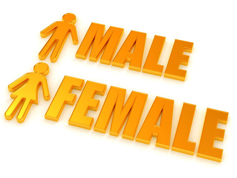 男女。標志