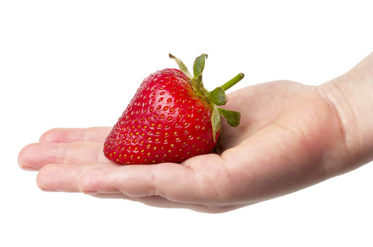 Strawberry在手