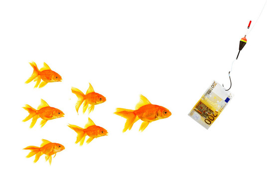 金魚和金錢