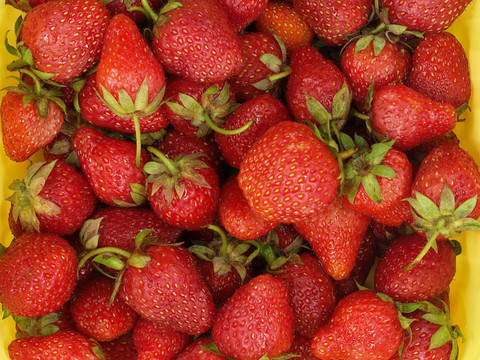 Strawberry。