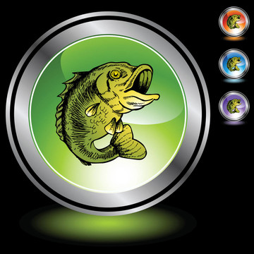 大嘴鱸魚(yú)
