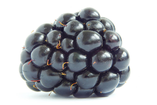 黑莓