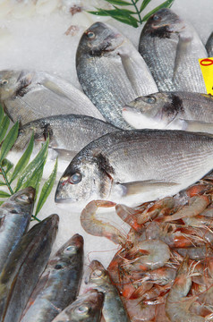 新鮮的魚