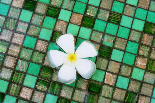 浮花。