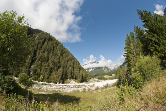 Dolomites Woods；意大利