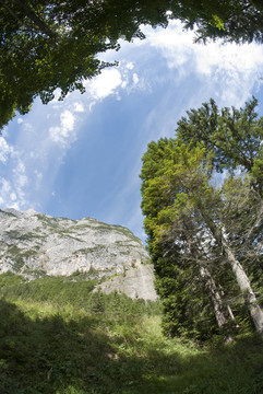 Dolomites Woods；意大利