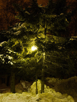 夜晚；路燈；綠雪