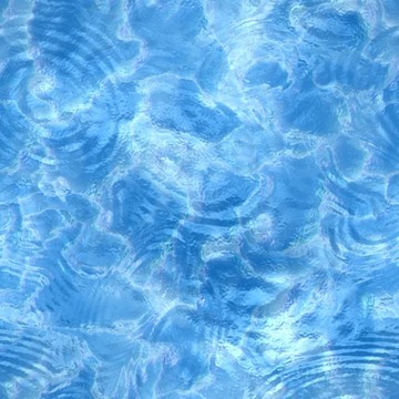 水在池