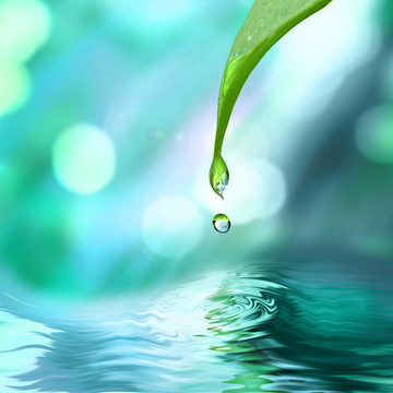 綠色水滴背景下的水滴綠葉子