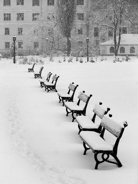 在雪上