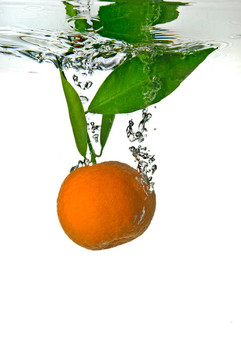 Tangerine夜店落入水中氣泡的白