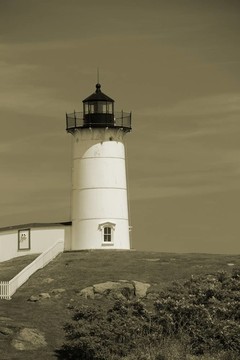 Cape Neddick Nubble在烏賊