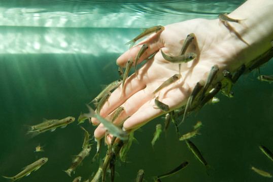 手與魚的水（魚水療護(hù)膚）