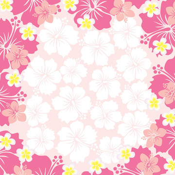 芙蓉框架