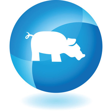 Pig Icon集