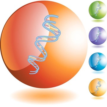 DNA鏈