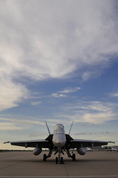 F/A-18“大黃蜂”