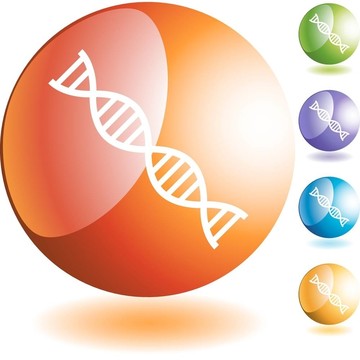 DNA