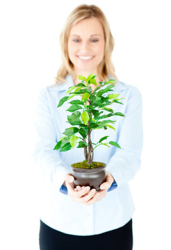 美麗的女人拿著一株植物
